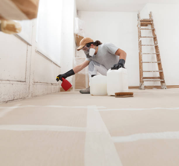 Best Mold Odor Removal Services  in South Pasadena, CA